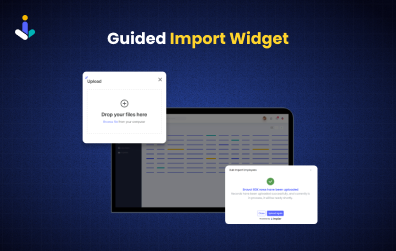 Guided Import Widget